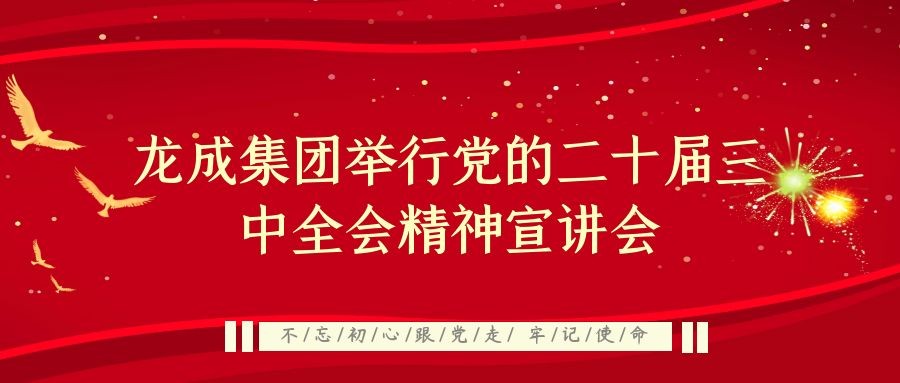 龍成集團(tuán)舉行黨的二十屆三中全會精神宣講會